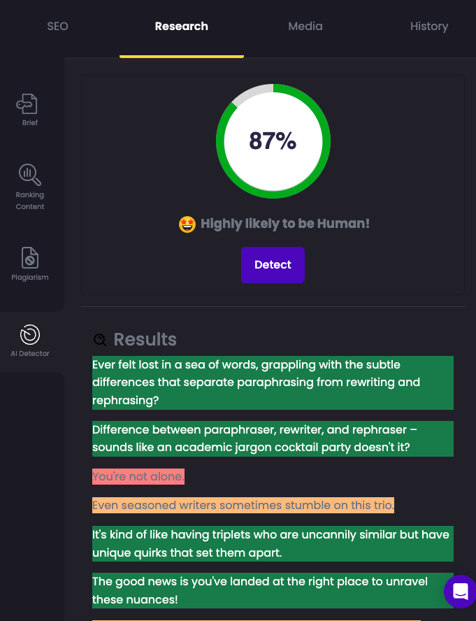 Ai Detector Scan Result