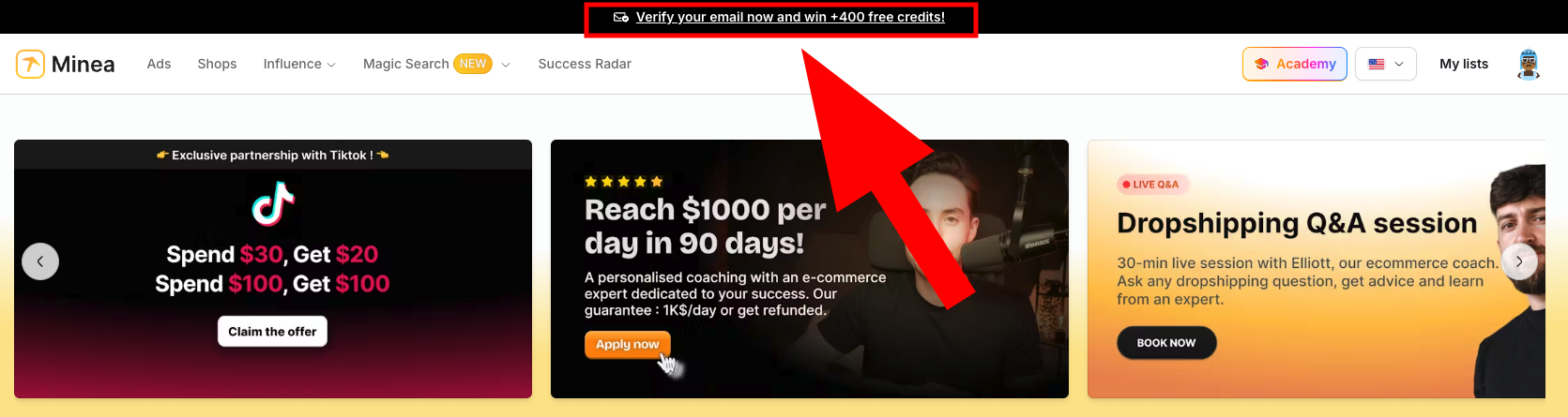 Verify Email Notification